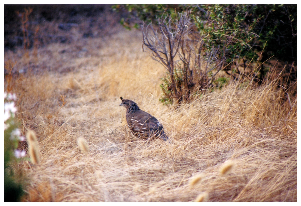 15 - Monterey Bay (4).jpg